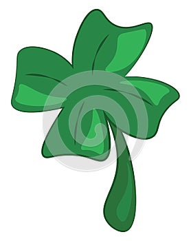 A four leaf clover, vector or color illustration