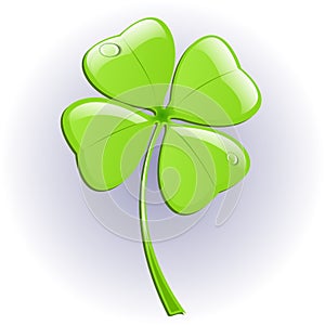 Four leaf clover. Vector illustration.