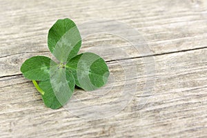 Four-leaf lucky shamrock, clover on old retro vintage wooden background with copy space