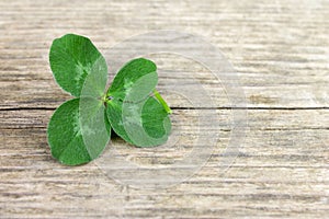 Four-leaf lucky shamrock, clover on old retro vintage wooden background with copy space