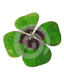 Four-leafed Clover 02
