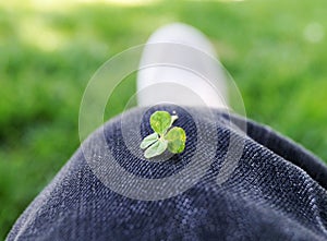 Four-Leaved Clover