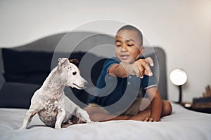 Four legged playmates make the best mates. an adorable little boy playing with his pet dog on the bed at home.