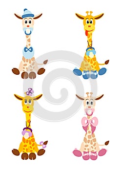 Four little giraffes like newborn babies