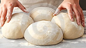 Artisan Bread Dough