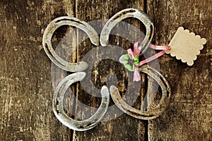 Four lucky horseshoes with a shamrock