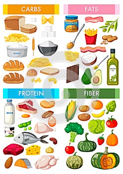 The four main food groups