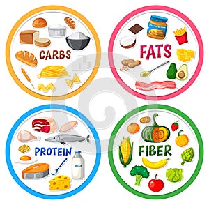 The four main food groups