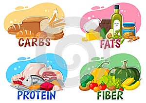 The four main food groups