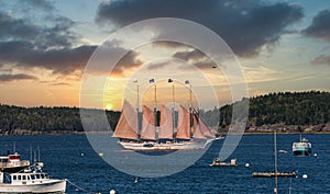 Four Masted Schooner in Bar Harbor