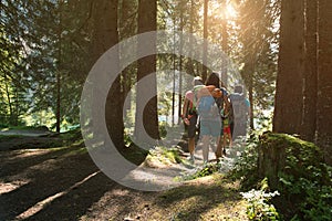 Four man and woman walking along hiking trail path in forest woods during sunny day. Group of friends people summer