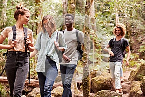 Four millennial friends hiking together in a forest, three quarter length photo