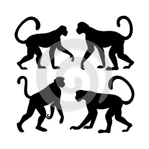 four monkey outline collection