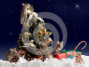 Four mouse decorates the Christmas tree by night on background starry sky