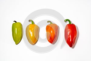 Four multi-colored ripen sweet peppers on a white background