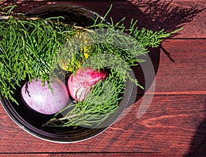 Four multicolored bright easter eggs and thuja branch