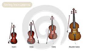 Four Musical Instrument Strings on White Backgroun photo