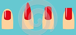 Four nail shapes : oval, square, stiletto, squoval