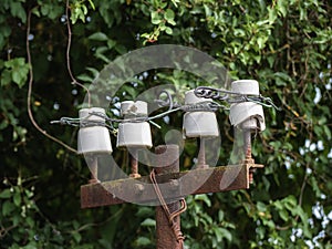 Four old white porcelain insulators perched on top of a rusty and dilapidated post