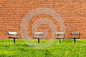 Four old wooden chairs standing on the  grass