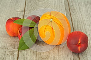 Four peaches and an orange with an unusual texture.