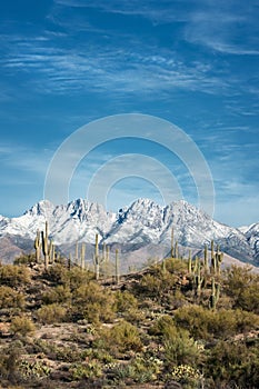 Four Peaks Arizona