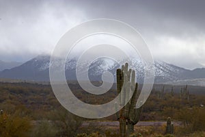 Four Peaks, Mountain, Maricopa County, Arizona