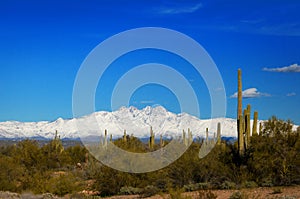 Four Peaks Mountains Covered in Snow in Arizona with Cactus and Desert Brush in the Foreground