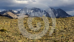 Four Peaks with Snow