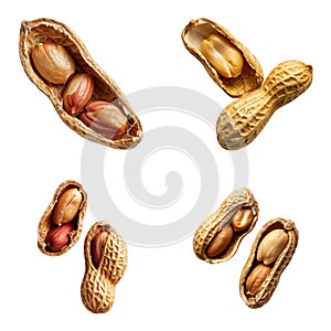 Four Peanuts in Their Shells