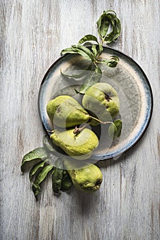 Four pears, in a plate on delicate wooden background