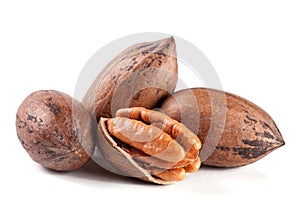 Four pecan nuts isolated on white background