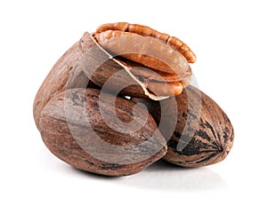Four pecan nuts isolated on white background