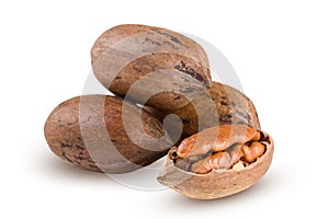Four pecan nuts on white background
