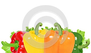 Four peppers of different colors isolated on white background. Green, red, yellow, orange peppers