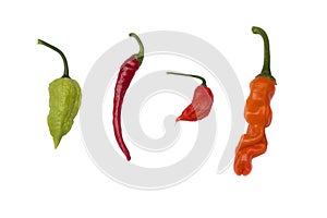 Four peppers isolated on white