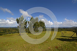 Green meadow on the hill photo