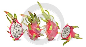 Four pink dragon fruit. Fruitage of cactus is tropical fruit.