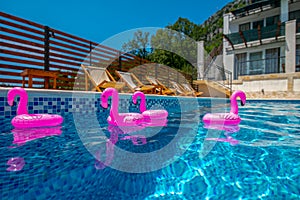 Four PINK FLAMINGs IN A SWIMMING POOL. Exotic, plastic.