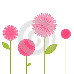 Four Pink Flowers