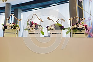 a four-pot arrangement of white flowers standing on wooden tables inside a house in front of a window with bokeh