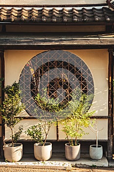 four pots with plant life are outside the japanese - style building