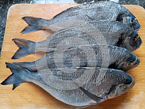 Four raw sea breams on a wooden chopping board