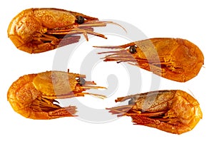 Four red boiled shrimp prawn with shell isolated on white