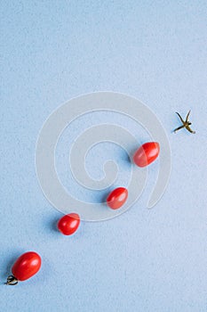 Four red cherry tomatoes on a blue background