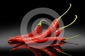Four red pods of chili pepper