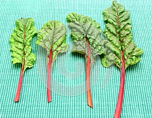 Four red stemmed chard