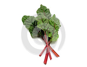 Four red stemmed chard leaves