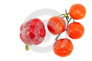 Four red tomatoes on a green branch and one red bell pepper on a white background