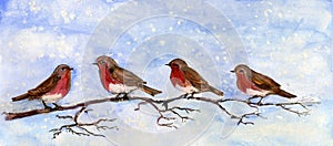 Four Robins on a Branch with a Snowy Sky